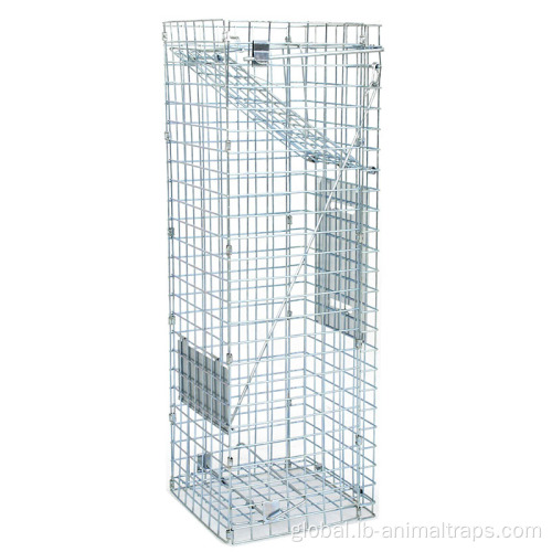 Collapsible Squirrel Trap Cage Animal Large Cage Catcher Cold galvanized Catch Factory